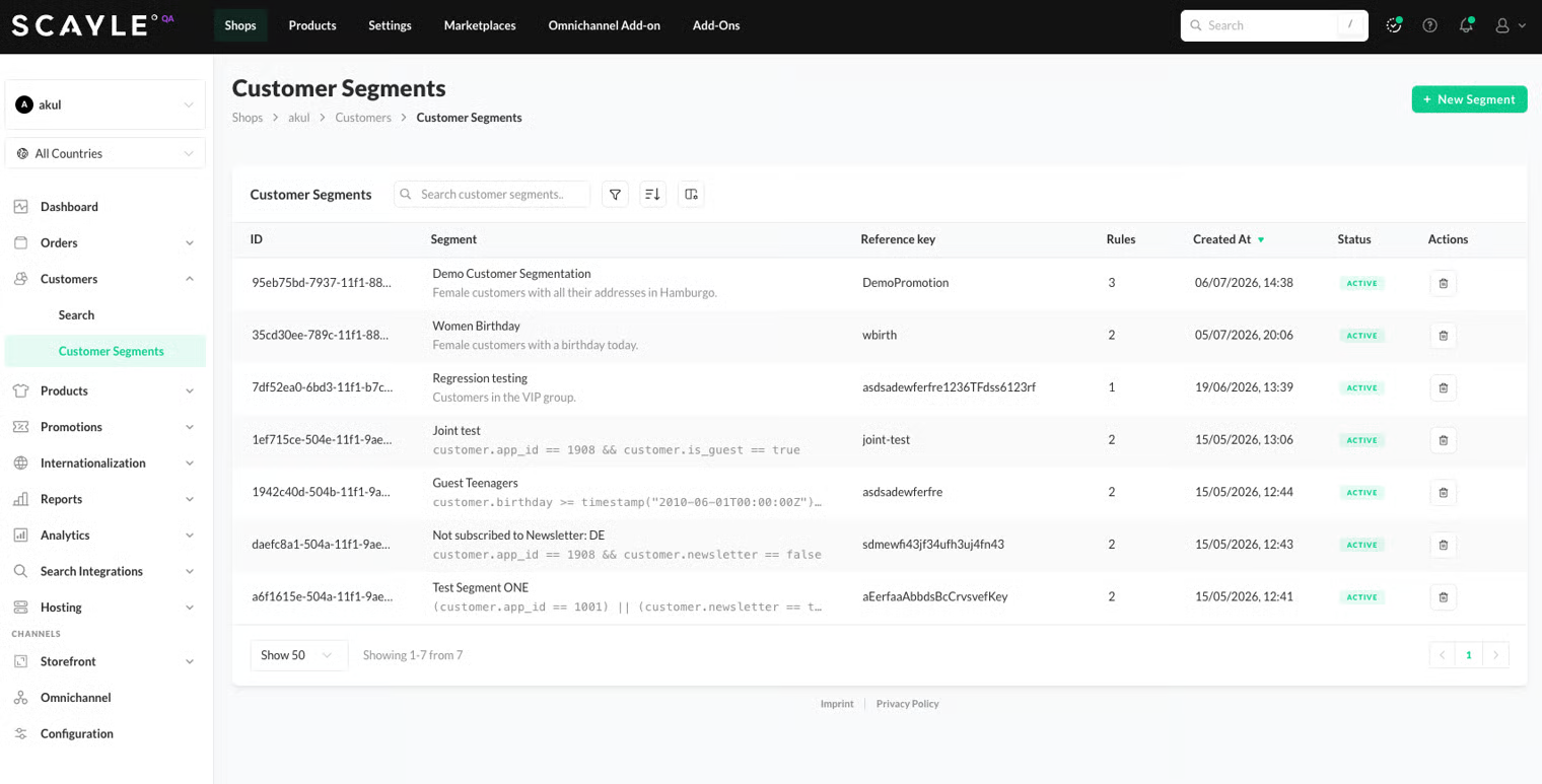 Customer Segments overview with the + New Segment button